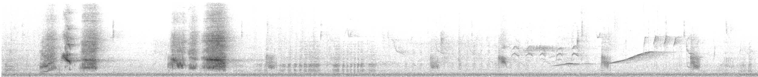 White-throated Magpie-Jay - ML646795142