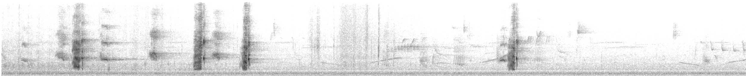 White-throated Magpie-Jay - ML646795143