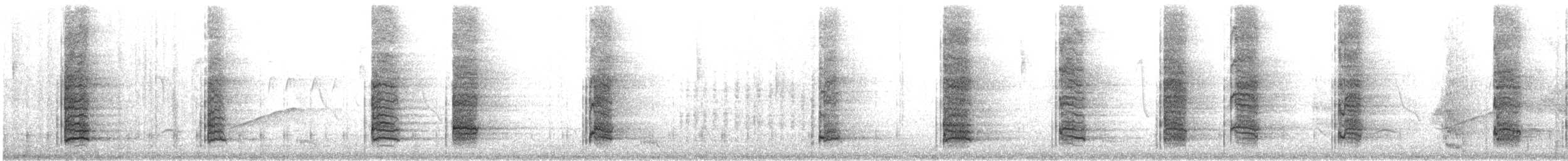 White-throated Magpie-Jay - ML646795146