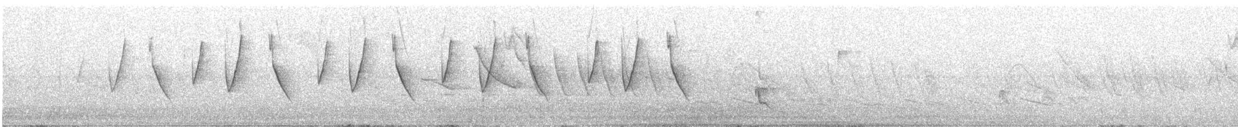 Black-capped Warbling Finch - ML646795148