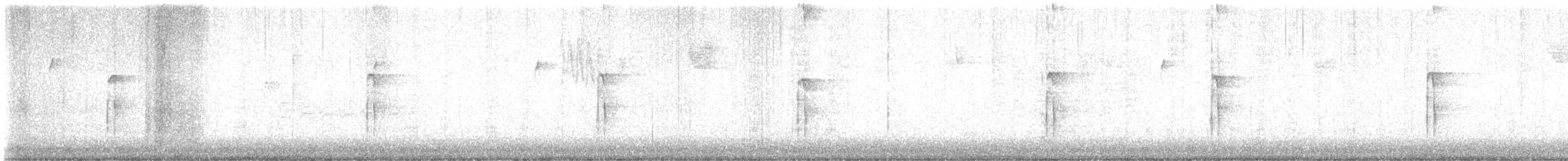 Haarspecht - ML646795344