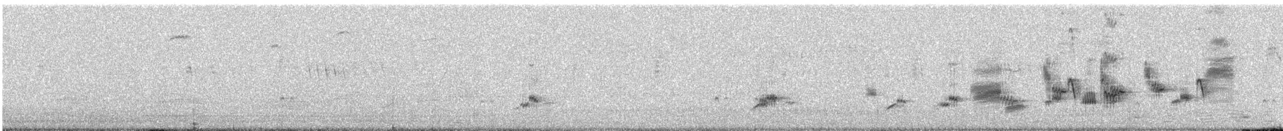 Elsterstar - ML646795351