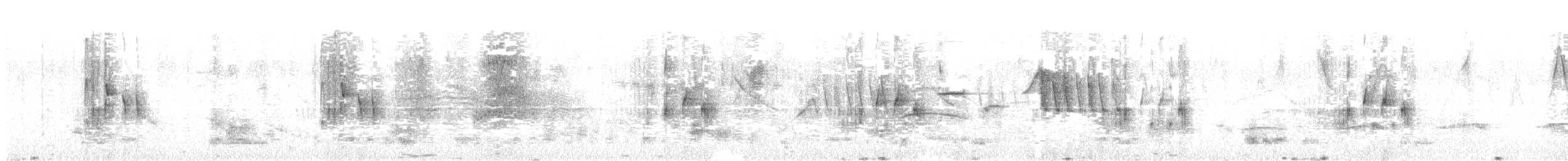 Graubrust-Zwergtyrann - ML646795355