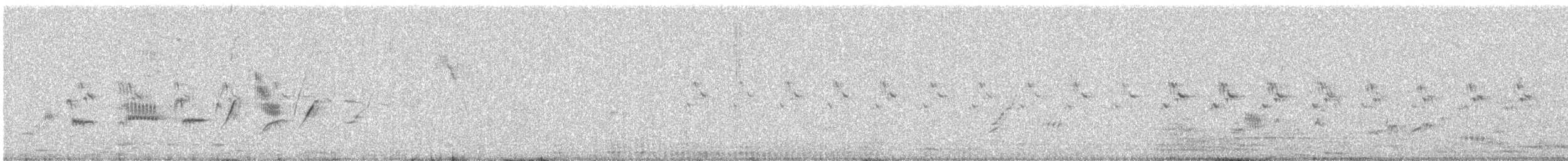 Rostbauchprinie - ML646795457