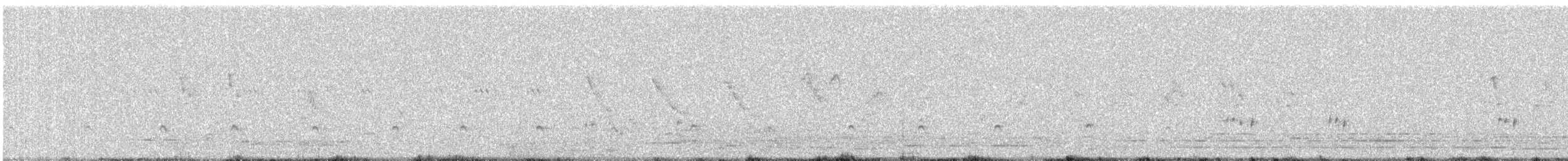 Blauschwanzspint - ML646795509