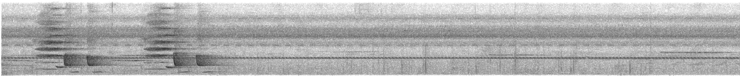 Дронго волохатий (підвид atrocaeruleus) - ML646795785