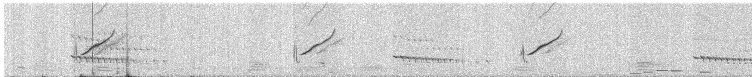 Плиска білоброва - ML646795974