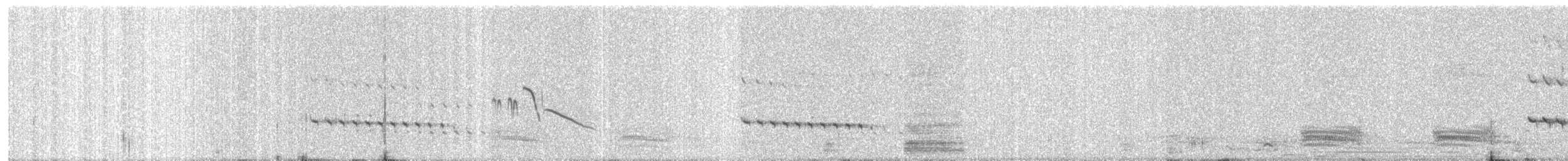 Плиска білоброва - ML646795984