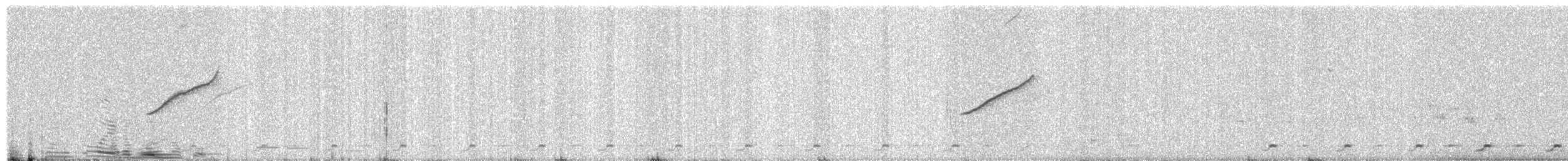 Плиска білоброва - ML646795996