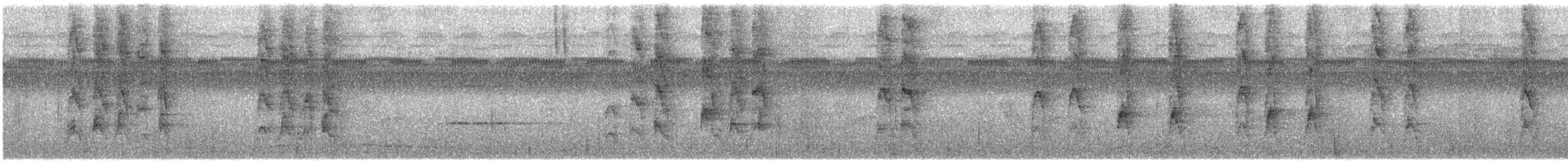 Moluccan Spectacled Monarch (Halmahera) - ML646796169