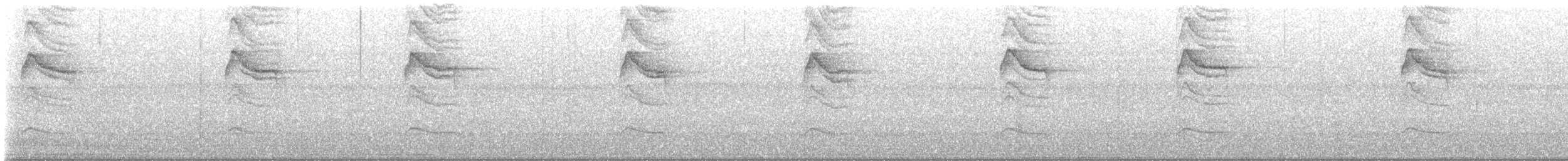 Зернолуск білогорлий - ML646796222