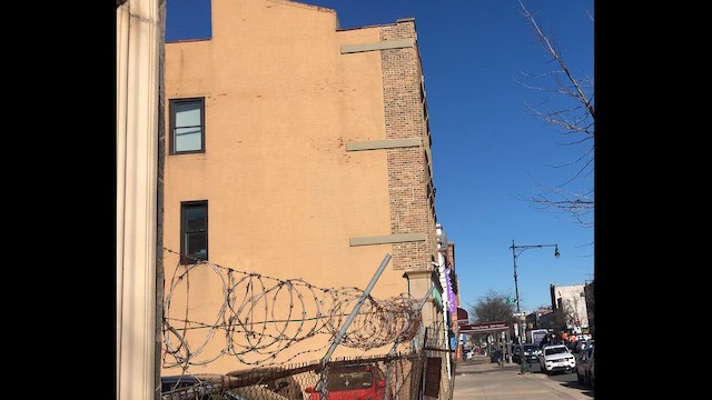 Common Raven - ML646796404