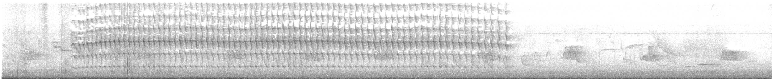 アマゾンカッコウ - ML646796711