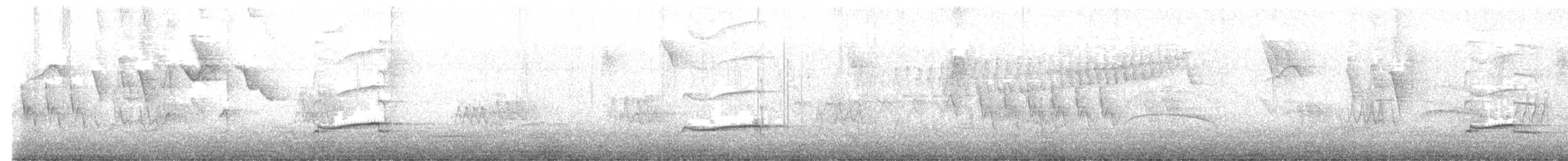 アマゾンカッコウ - ML646796712