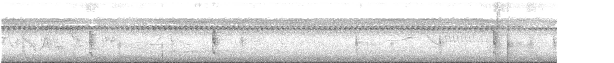 キバシリカマドドリ - ML646796728