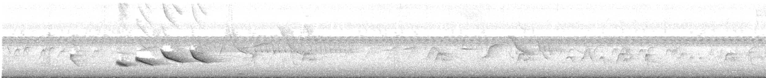 オリーブイカル - ML646796755