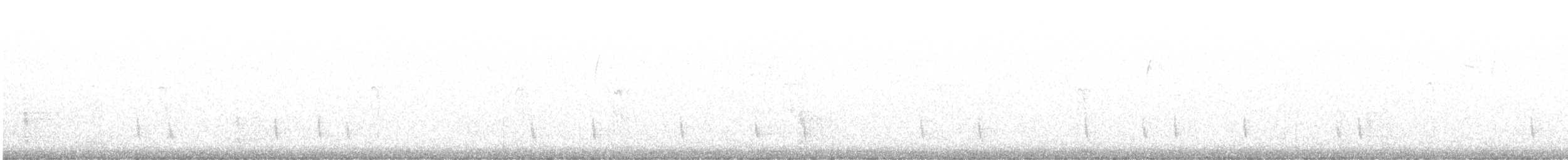 Einsiedler-Musendrossel - ML646796836