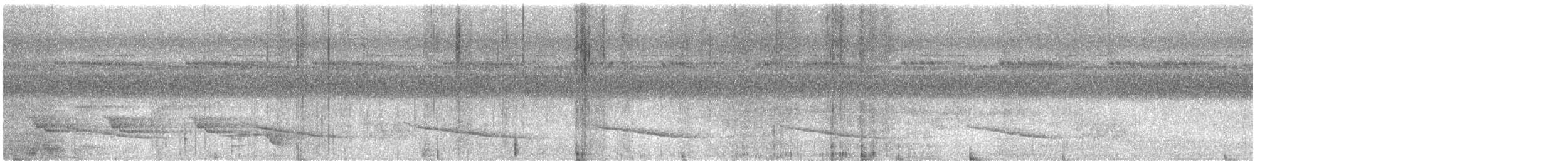 Oruguero Negro - ML646796944