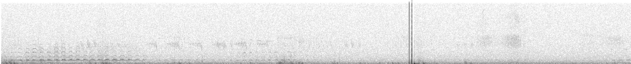 Баранець американський - ML646797028