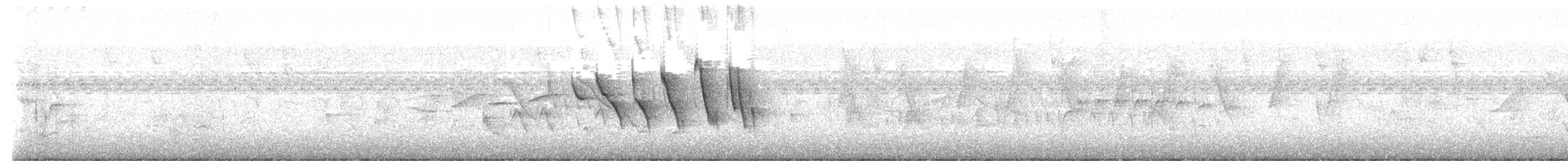 Çift Halkalı Tohumcul - ML646797087