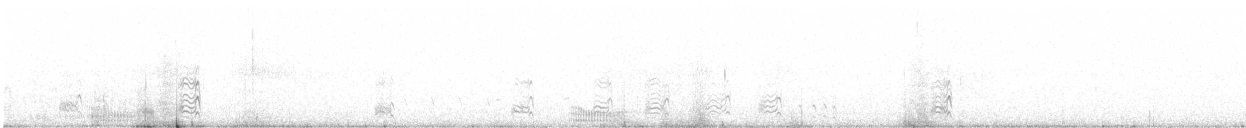 Баранець американський - ML646797295