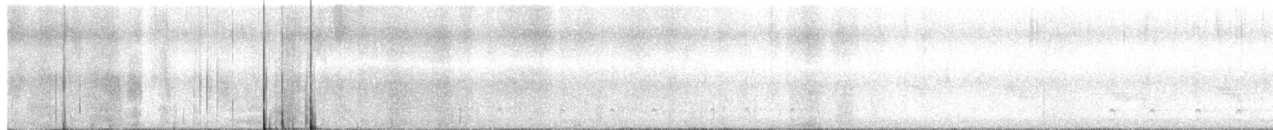 datel chocholatý - ML646797410