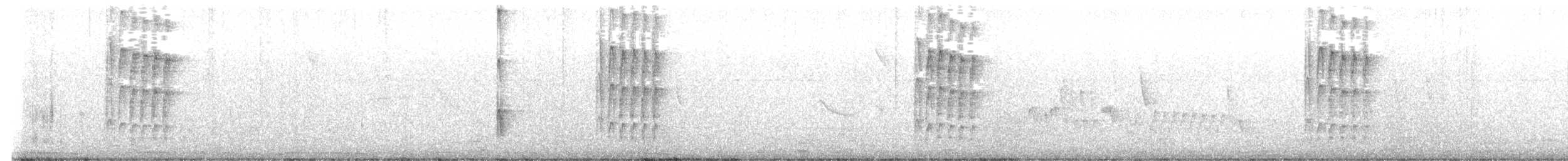 シマコゲラ - ML646797481