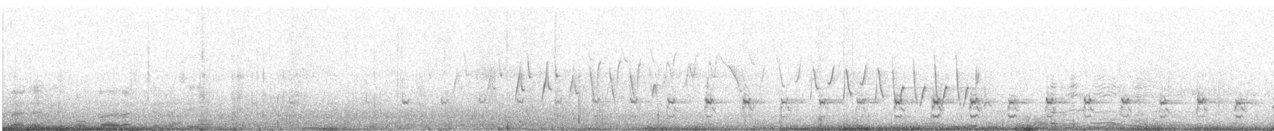 Баранець американський - ML646797531