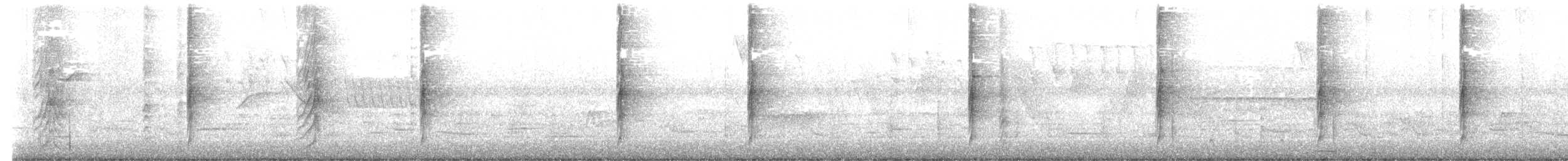 ブチタイランチョウ - ML646797722