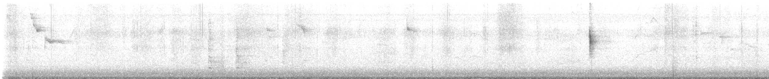 datel karolínský - ML646798041