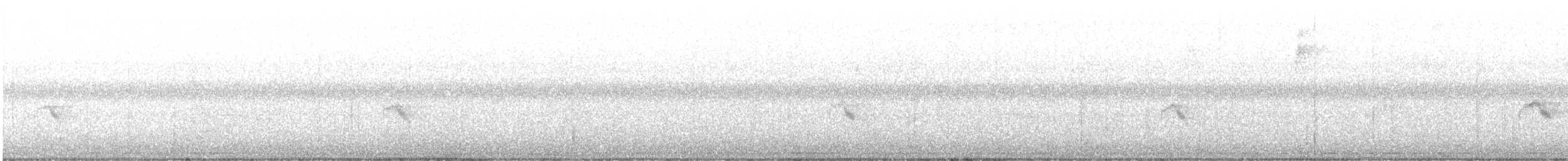 Gray-cheeked Thrush - ML646798109