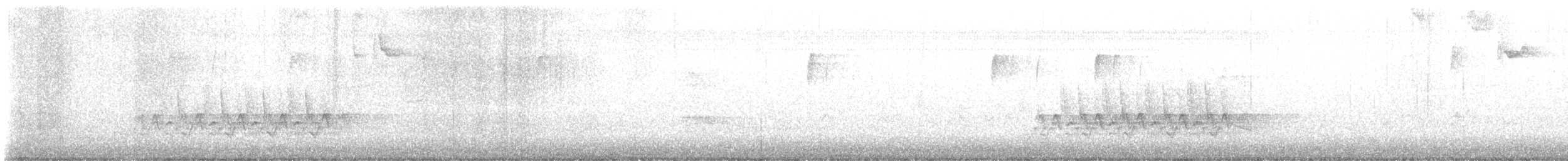 střízlík karolínský - ML646798428