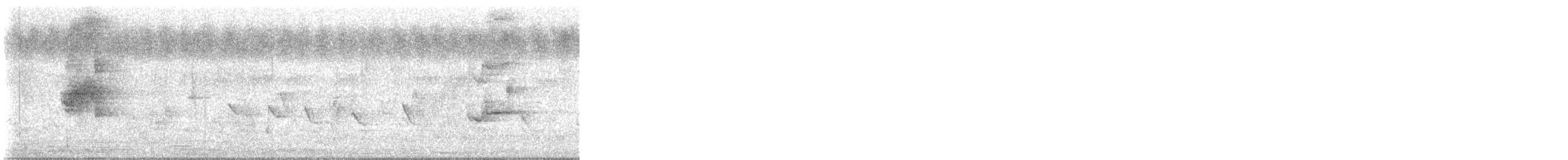 Lorito Senegalés - ML646798546