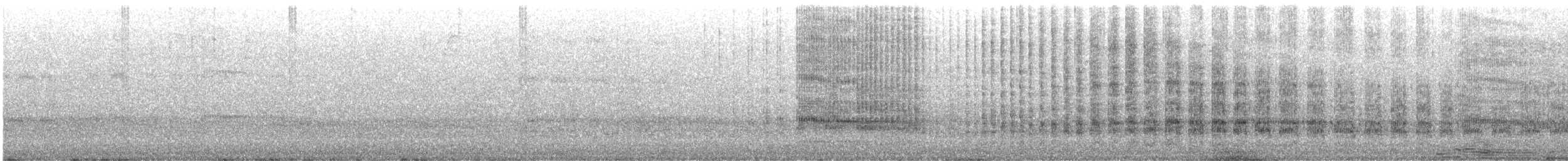 Red-billed Tropicbird - ML646798840