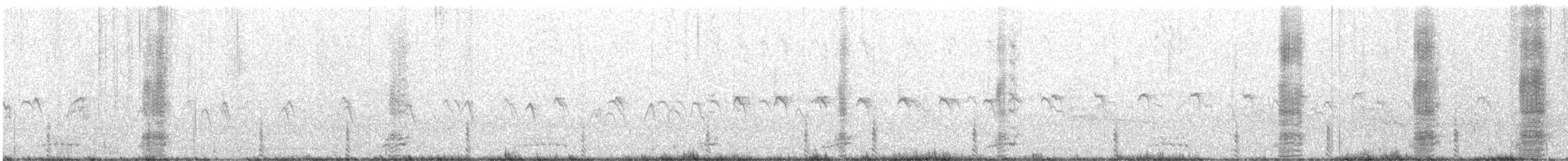 Ánade Gargantillo - ML646798935