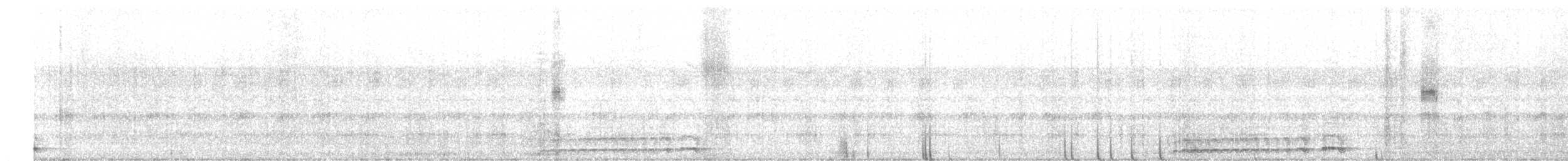 Tropenkreischeule - ML646798962