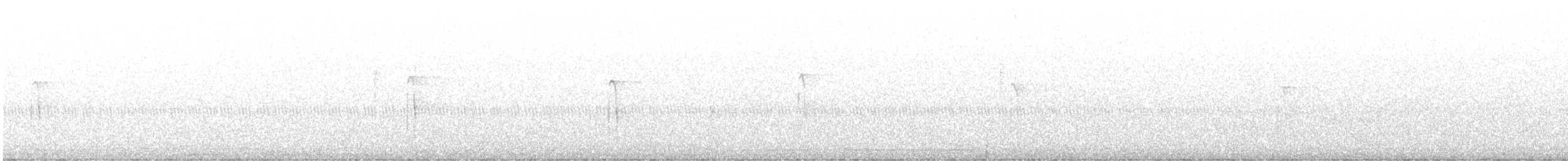 Hairy Woodpecker - ML646798965