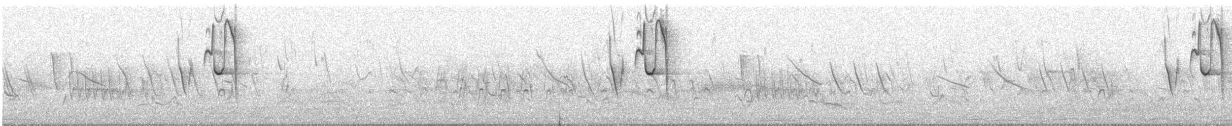 Great Pampa-Finch - ML646798970