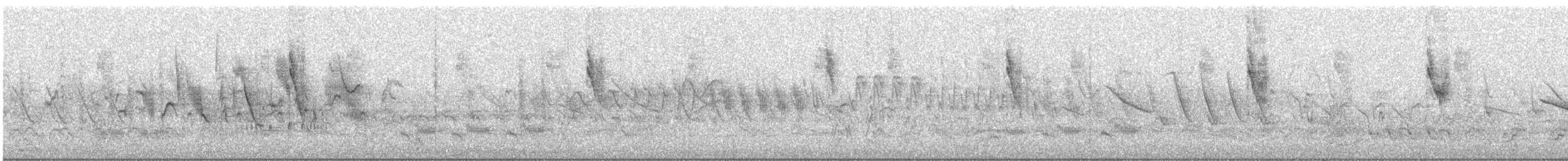 Double-collared Seedeater - ML646798993