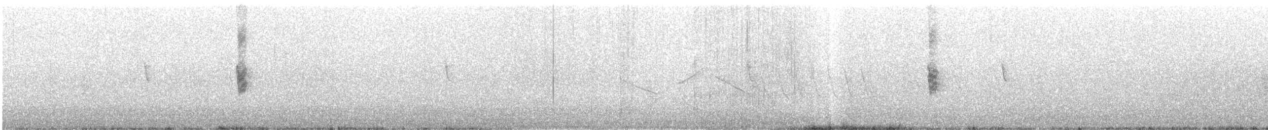 Chalk-browed Mockingbird - ML646799163