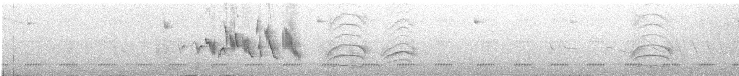 Double-collared Seedeater - ML646799199