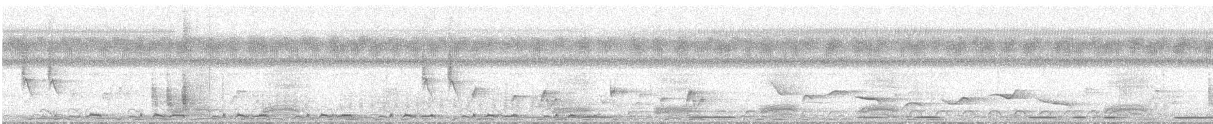 Крук строкатий - ML646799399