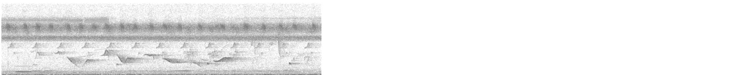 Чагра велика [група senegalus] - ML646799410