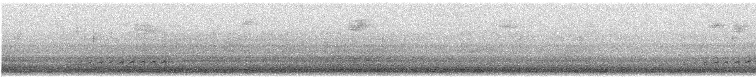 hvitbrystspettmeis - ML646799854