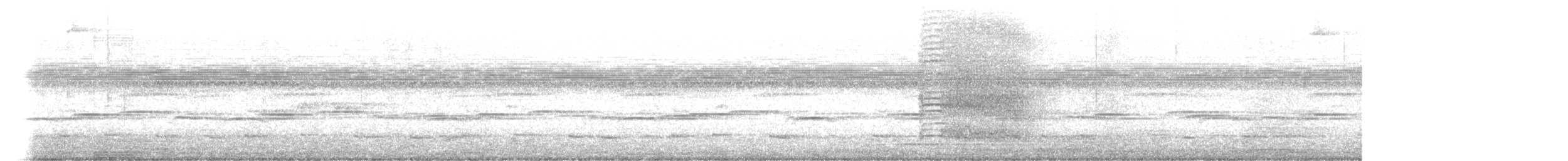 Amerikaschleiereule - ML646799855