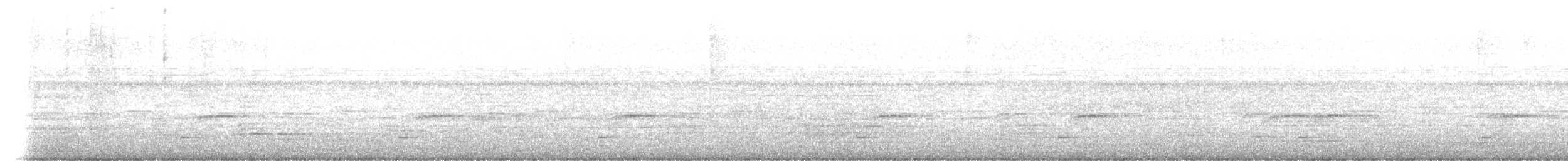 Amerikaschleiereule - ML646799856