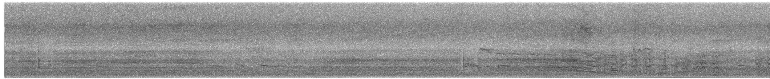 Long-billed Corella - ML646800013