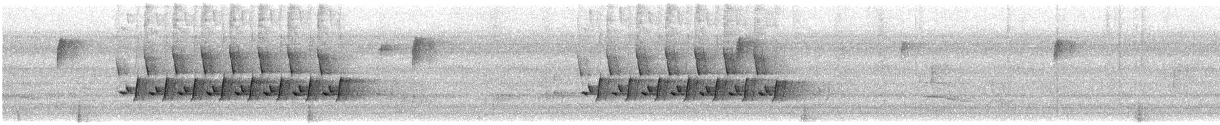 Поплітник каролінський - ML646800208