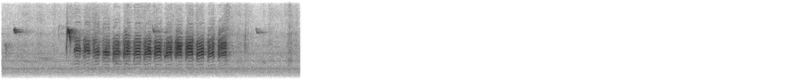 Каролинская гаичка - ML646800252