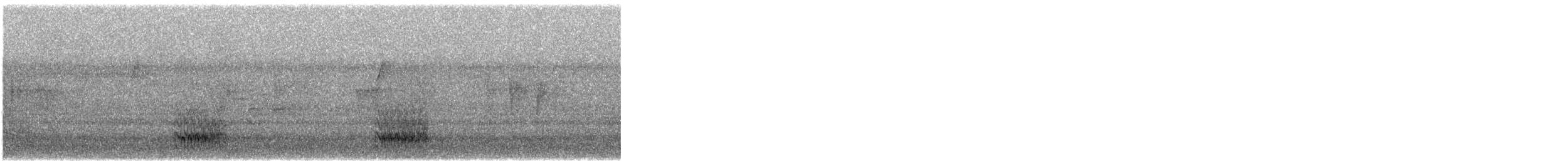 Гіла каролінська - ML646800317